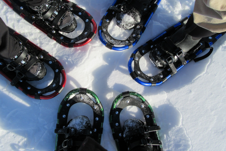 three pairs of snowshoes top view