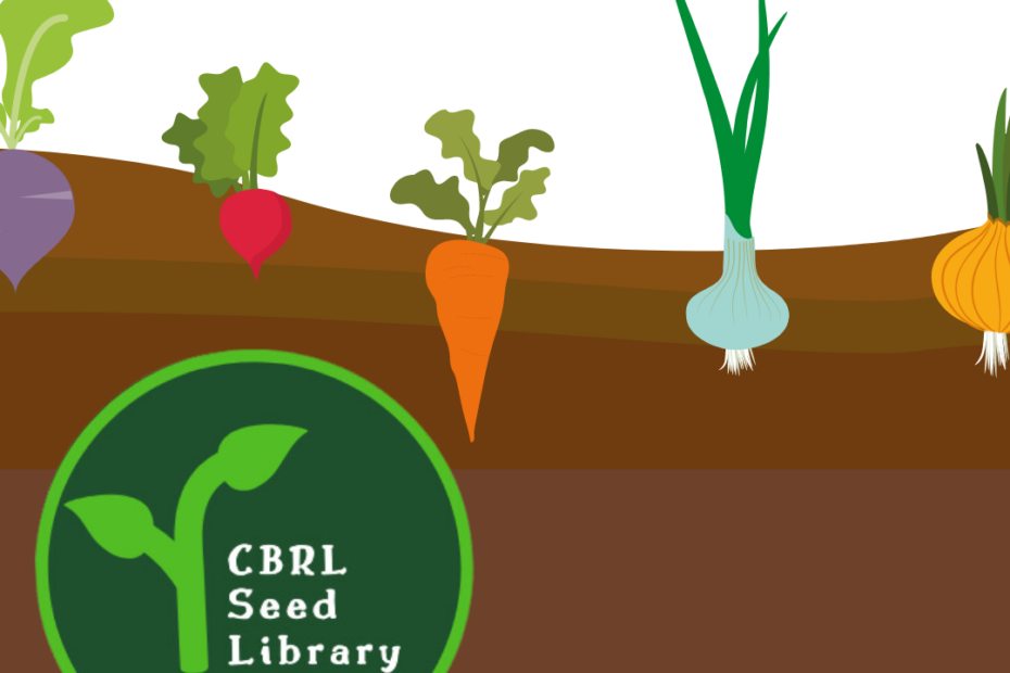 CBRL Seed Library logo and graphic of Vegetables growing