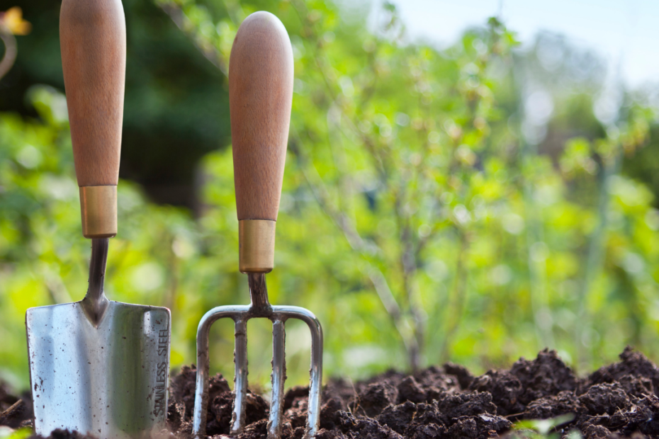 Close up of gardening tools in dirt with a small plant growing.