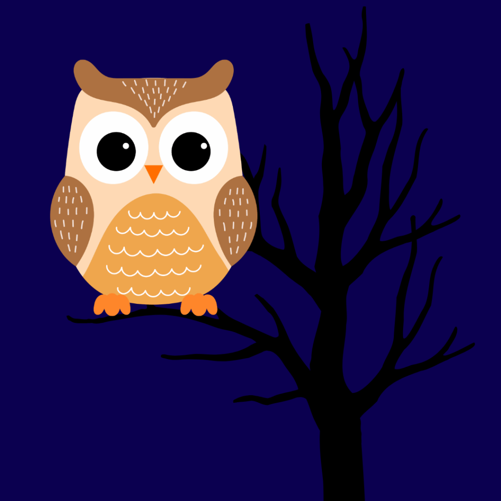 cartoon owl